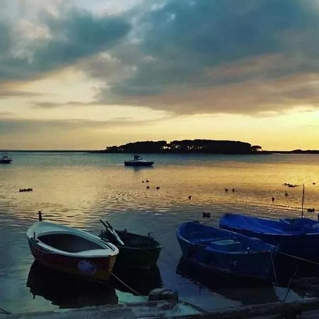 بورتو سيساريو B&B Fior Di Mare المظهر الخارجي الصورة